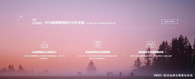 BD半島網(wǎng)址品牌全案籌謀：揭秘企業(yè)制勝市場的奧秘兵器(圖2)
